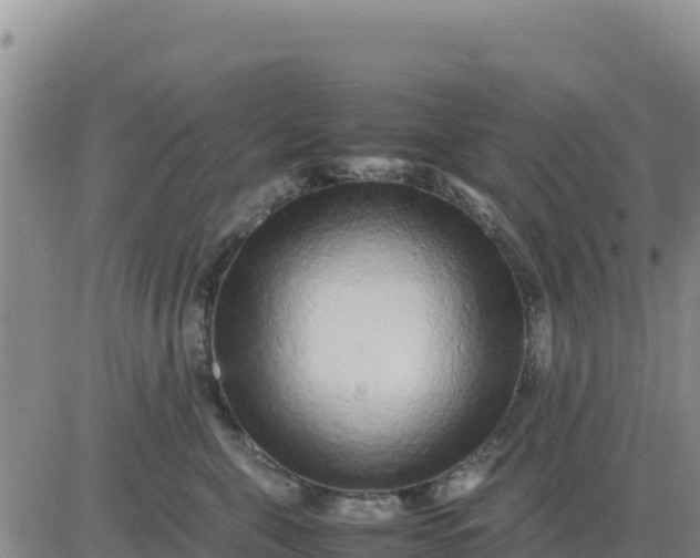 X0000080680571200612301428