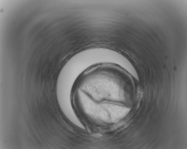 X0000080680572200612301428