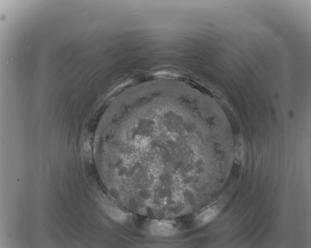 X0000080680573200612301428