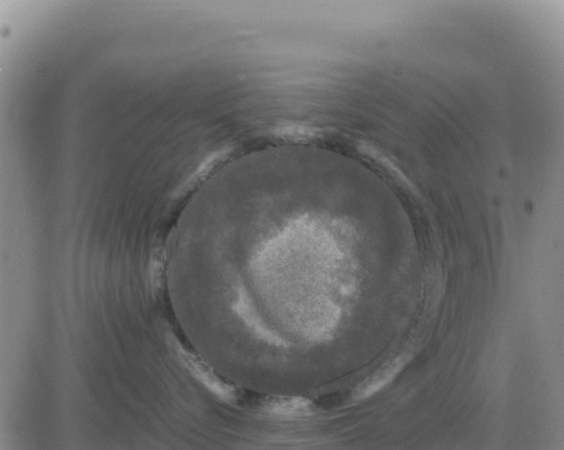 X0000080680576200612301428