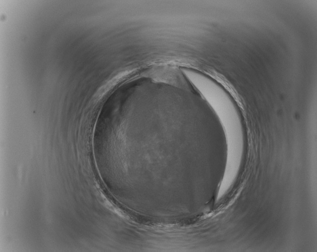 X0000080680577200612301427