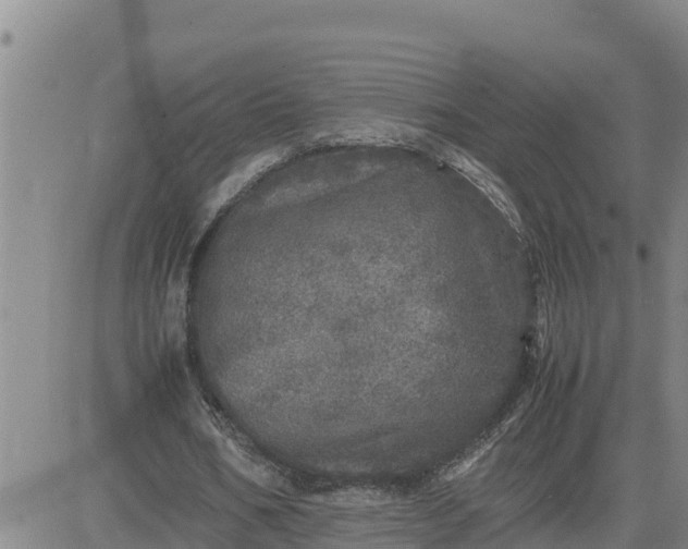 X0000080680578200612301427