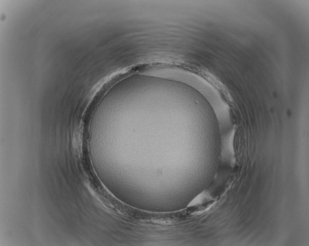 X0000080680580200612301427