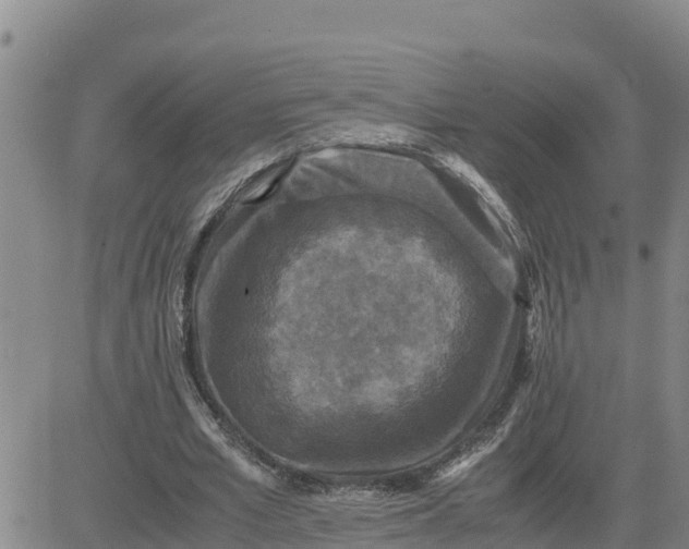 X0000080680581200612301427