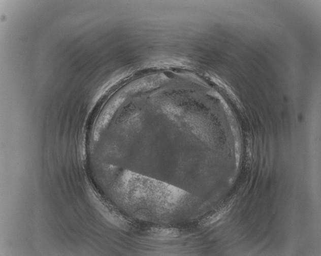 X0000080680582200612301427