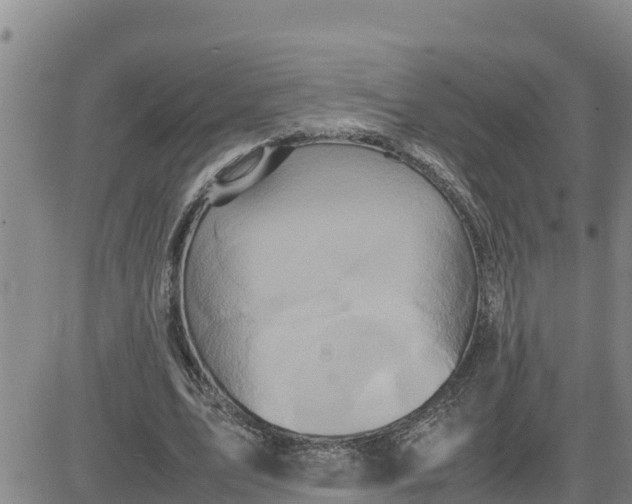 X0000080680583200612301427