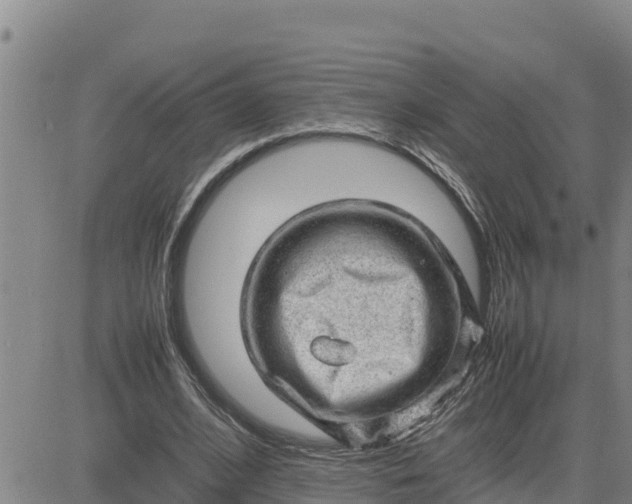 X0000080680584200612301427