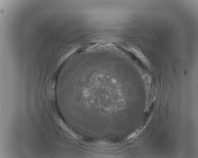 X0000080680585200612301427