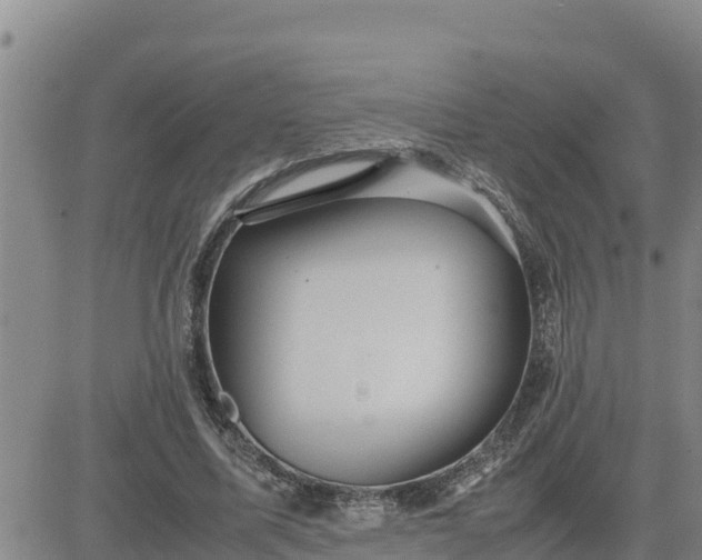 X0000080680587200612301427