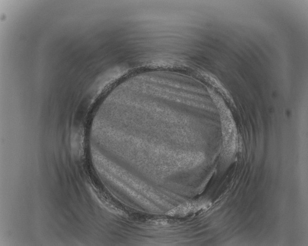 X0000080680588200612301427