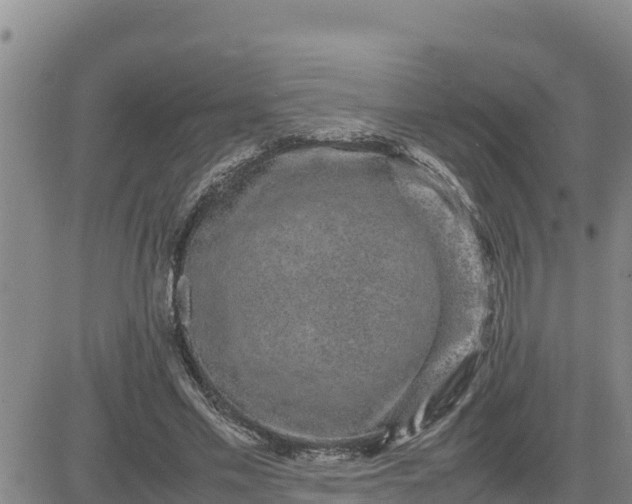 X0000080680589200612301427