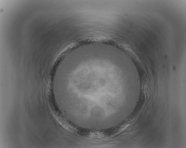 X0000080680591200612301427