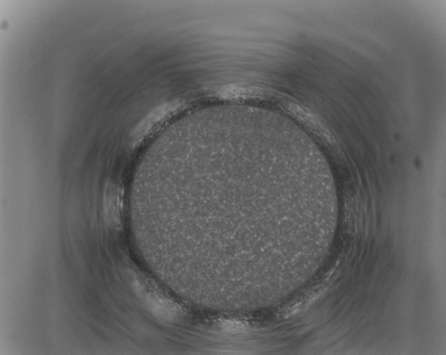 X0000080680592200612301427