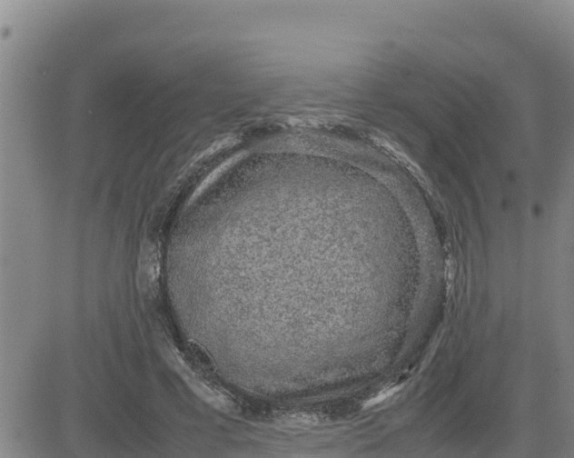 X0000080680593200612301427