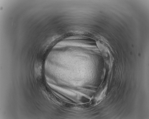 X0000080680596200612301427