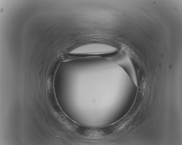 X0000080680597200612301427