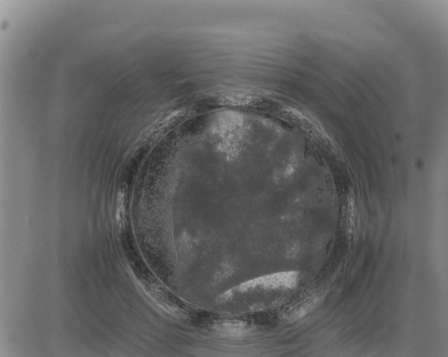 X0000080680598200612301426