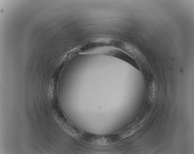 X0000080680600200612301426