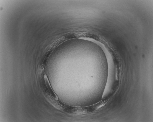 X0000080680601200612301426