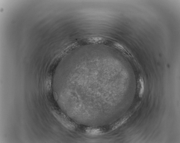 X0000080680602200612301426