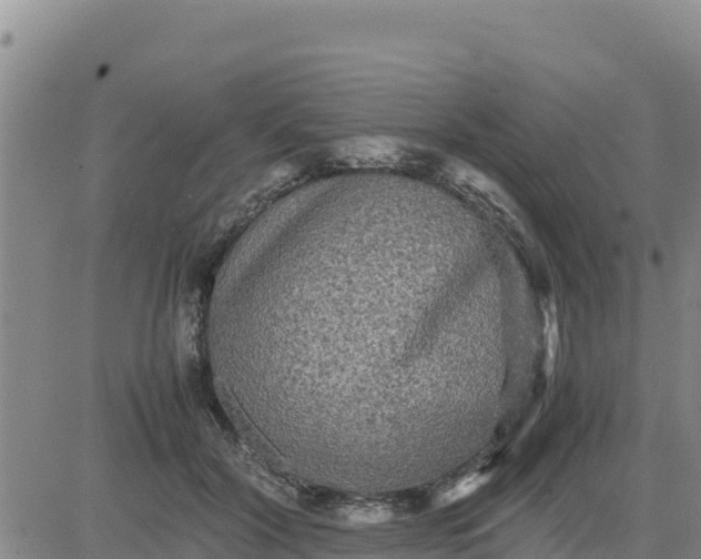 X0000080680604200612301426