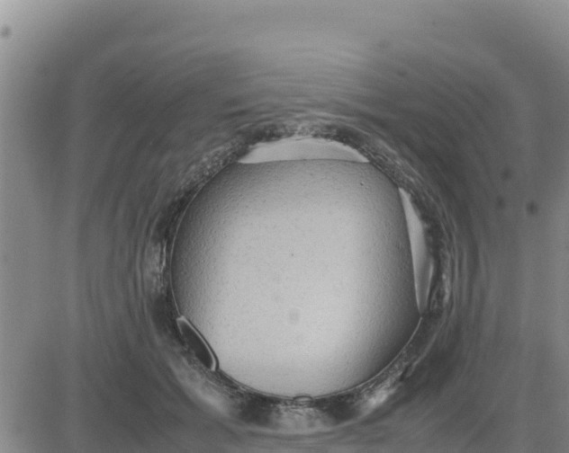 X0000080680605200612301426