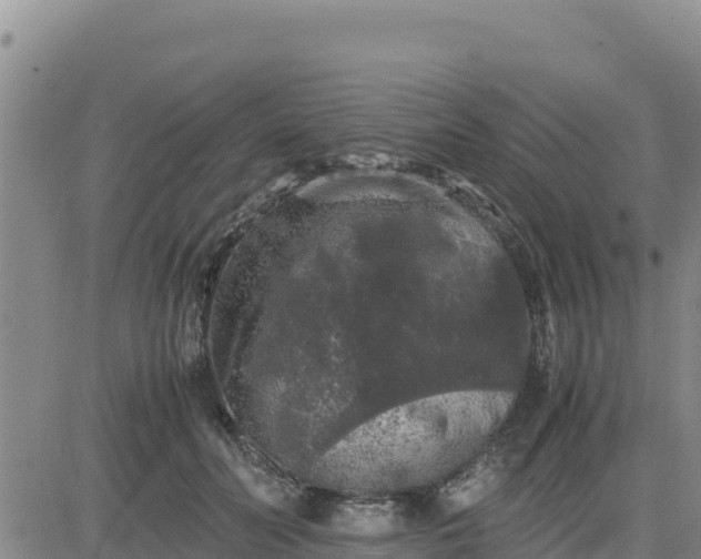 X0000080680606200612301426