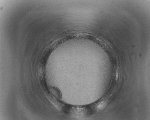 X0000080680607200612301426