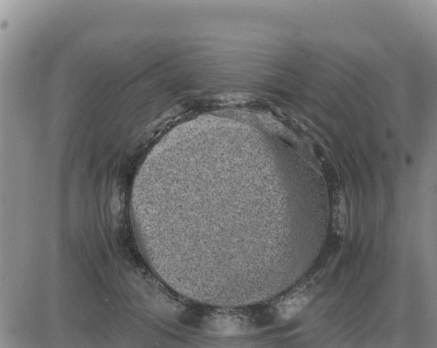 X0000080680608200612301426