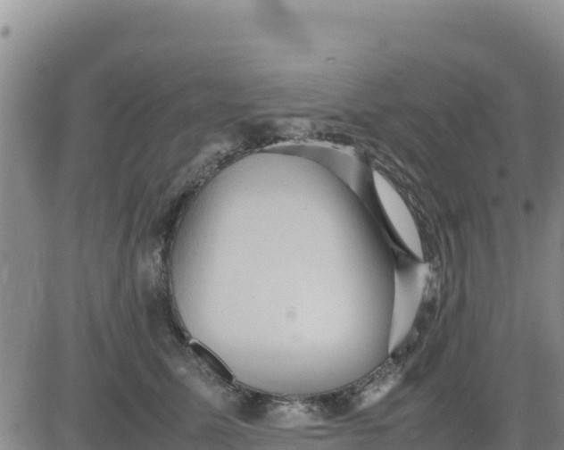 X0000080680611200612301426