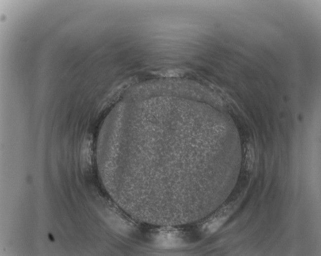 X0000080680612200612301426