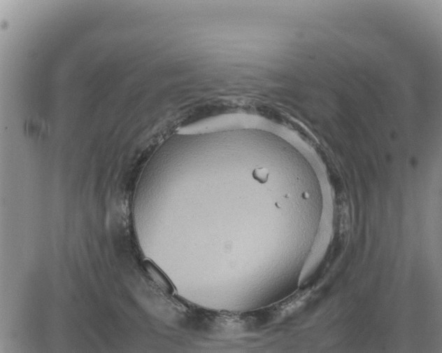 X0000080680613200612301426