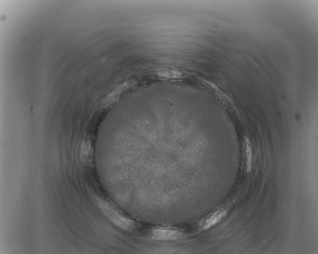 X0000080680614200612301426