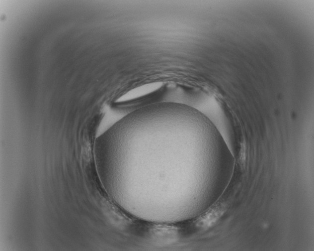 X0000080680617200612301426