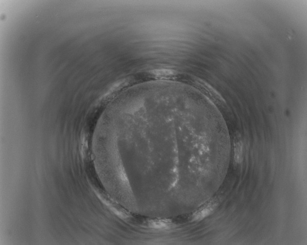 X0000080680618200612301426