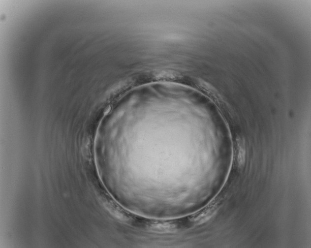 X0000080680619200612301426