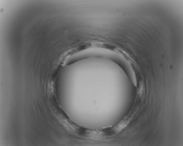 X0000080680621200612301426