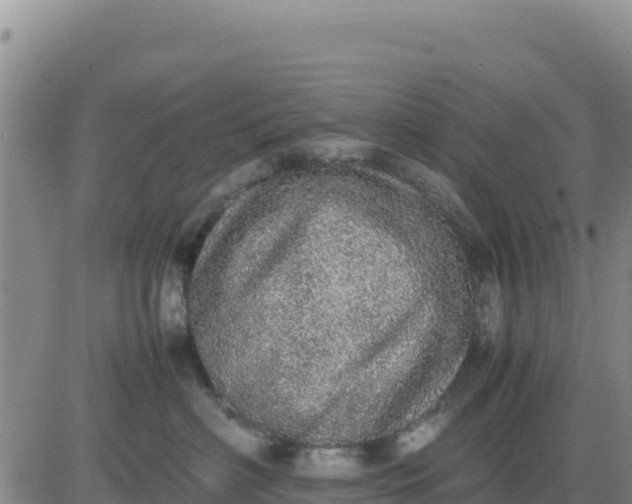 X0000080680622200612301426