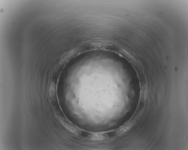 X0000080680623200612301426