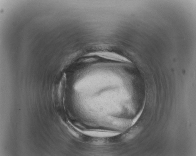 X0000080680624200612301426