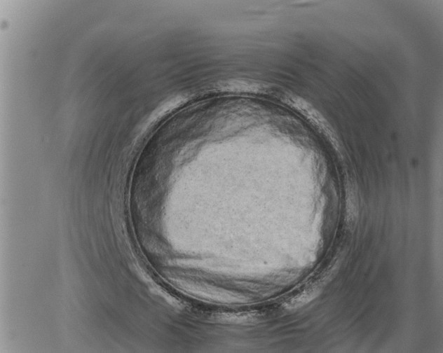 X0000080680625200612301425