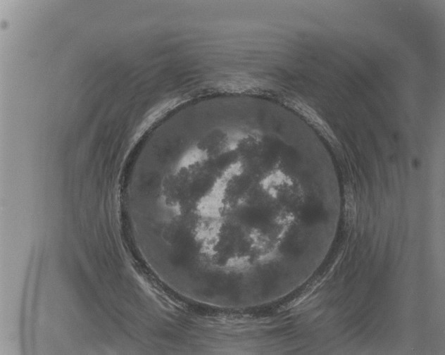 X0000080680626200612301425