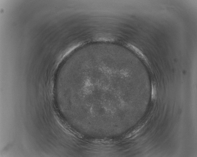 X0000080680627200612301425