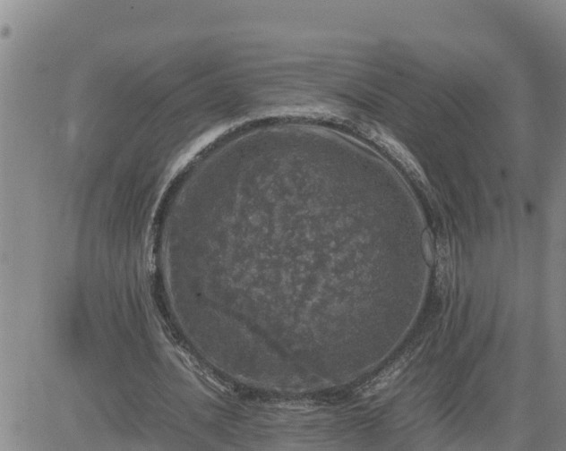 X0000080680628200612301425