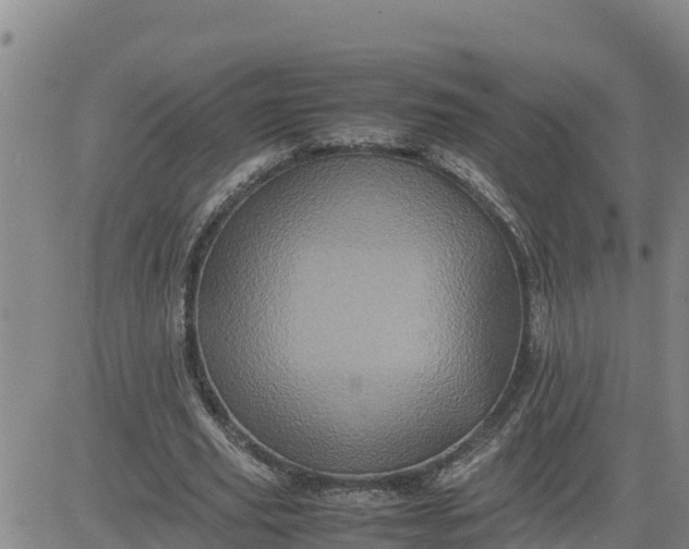 X0000080680629200612301425