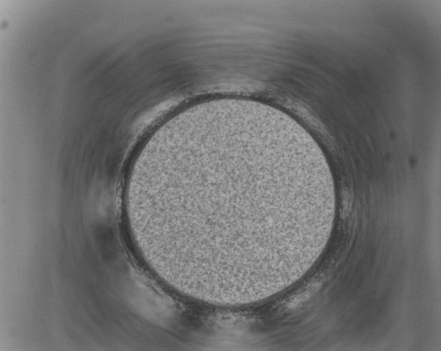 X0000080680632200612301425