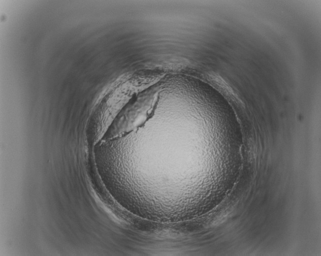 X0000080680634200612301425