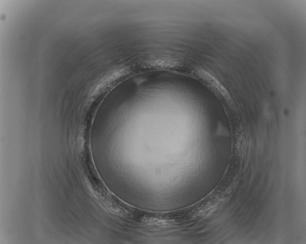 X0000080680635200612301425