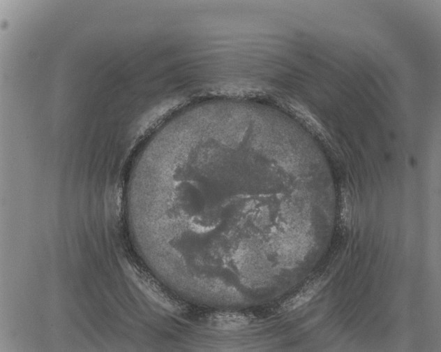 X0000080680636200612301425