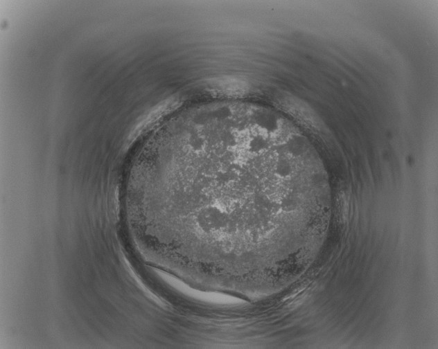 X0000080680638200612301426